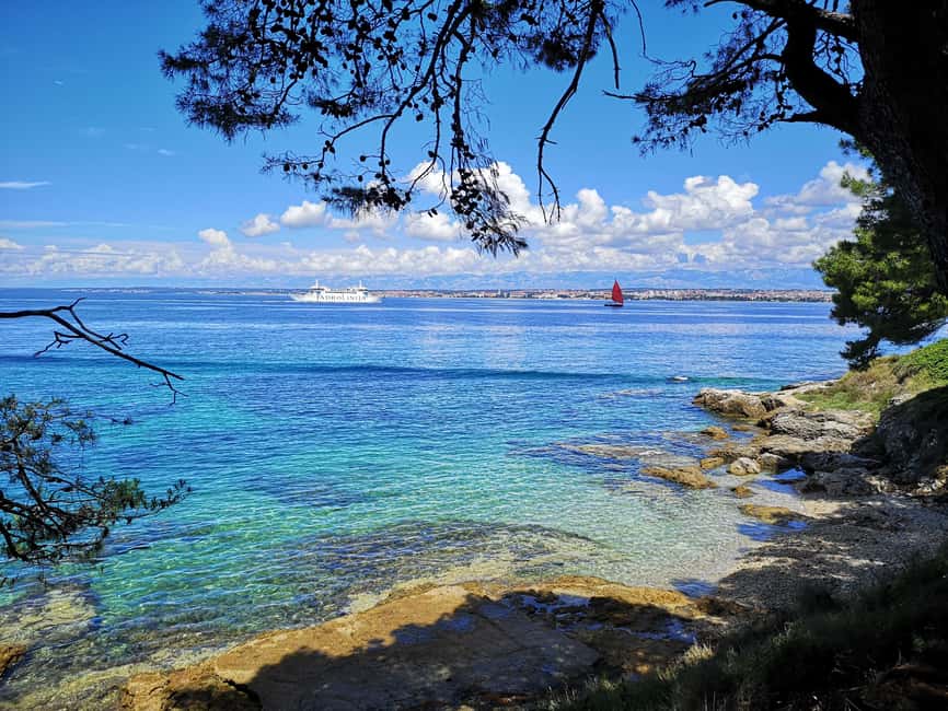 Zadar: 3 Islands Speedboat Tour with Drinks and Diving - The guide can shape the day
