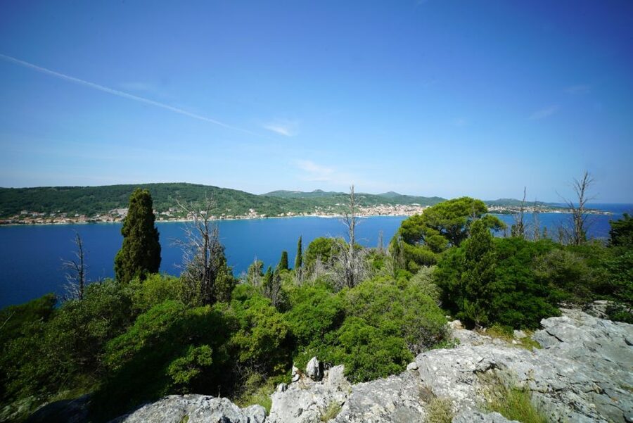 Zadar: Guided Speedboat Tour with Food, Oil & Wine Tasting - Practical details that make the day easier