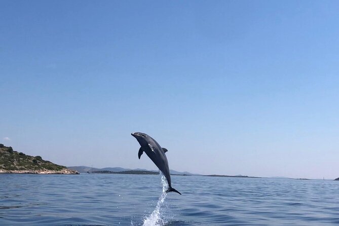 Zadar: Island Luxury Speedboat Tour with Snorkeling - Drinks, equipment, and what to pack
