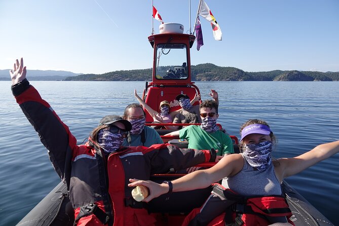 Zodiac Boat Whale and Wildlife 4-Hour Tour from Campbell River - The Cape Mudge Lighthouse possibility