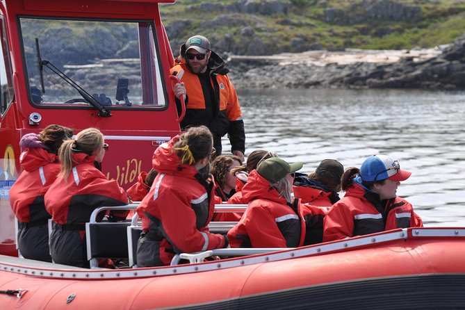 Zodiac Boat Whale and Wildlife 6-Hour Tour from Campbell River - Lunch, hot drinks, and staying comfortable