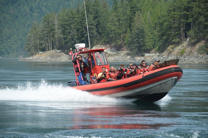 Zodiac Boat Whale and Wildlife 7-8-Hour Tour from Campbell River - Wildlife sightings can be exceptional, but they are never promised