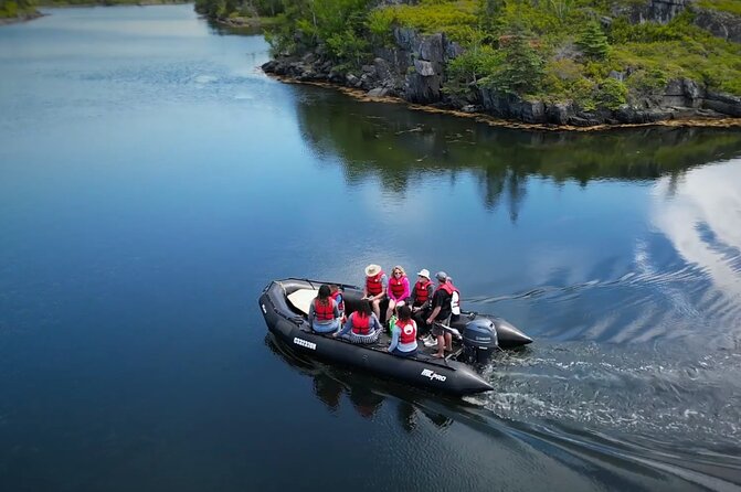 Zodiac Coastal Tour with Naturalist Guide: Lunenburg - Why this Zodiac trip feels different